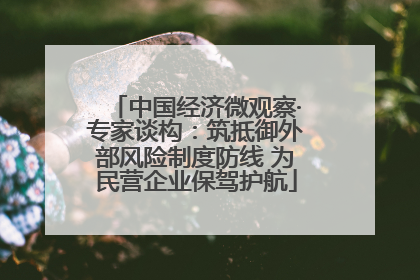 中国经济微观察·专家谈构：筑抵御外部风险制度防线 为民营企业保驾护航