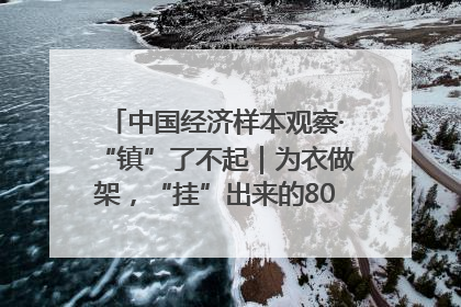 中国经济样本观察·“镇”了不起｜为衣做架，“挂”出来的80亿元“衣架产业”