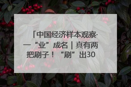 中国经济样本观察·一“业”成名｜真有两把刷子！“刷”出30亿级“颜值经济”