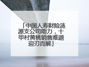 中国人寿财险涟源支公司助力，十甲村黄桃销售难题迎刃而解