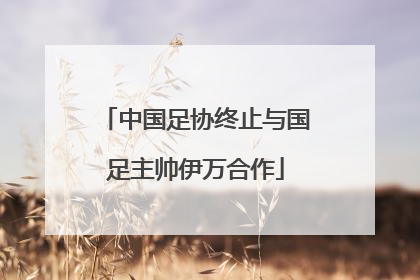 中国足协终止与国足主帅伊万合作