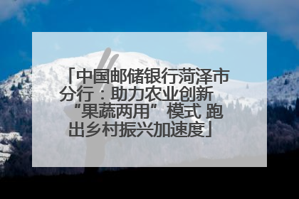 中国邮储银行菏泽市分行：助力农业创新 “果蔬两用”模式 跑出乡村振兴加速度