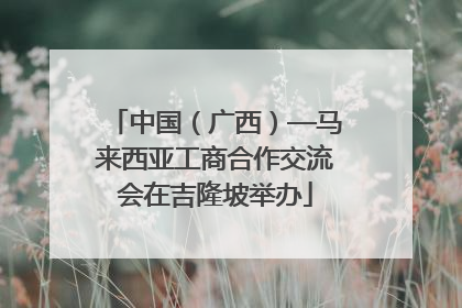 中国（广西）—马来西亚工商合作交流会在吉隆坡举办