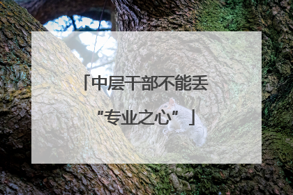 中层干部不能丢“专业之心”