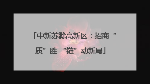 中新苏滁高新区：招商“质”胜 “链”动新局
