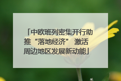 中欧班列密集开行助推“落地经济” 激活周边地区发展新动能