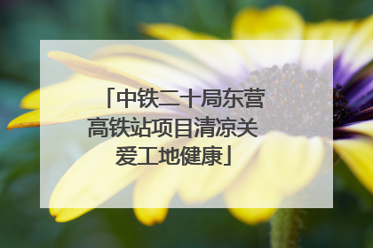 中铁二十局东营高铁站项目清凉关爱工地健康