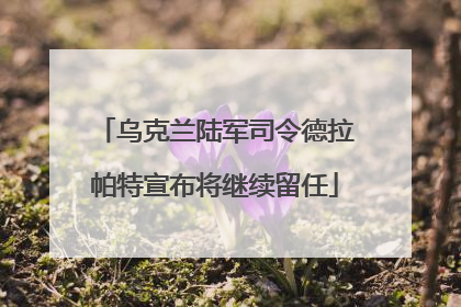 乌克兰陆军司令德拉帕特宣布将继续留任