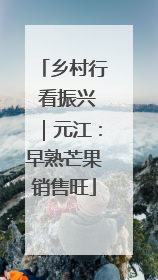 乡村行 看振兴｜元江：早熟芒果销售旺
