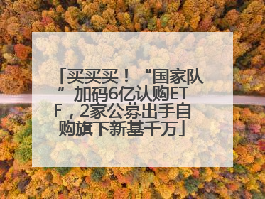 买买买！“国家队”加码6亿认购ETF，2家公募出手自购旗下新基千万
