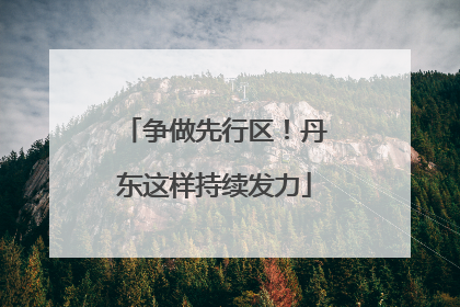 争做先行区！丹东这样持续发力