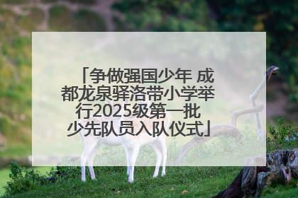 争做强国少年 成都龙泉驿洛带小学举行2025级第一批少先队员入队仪式