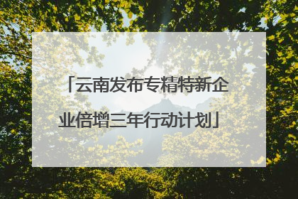 云南发布专精特新企业倍增三年行动计划
