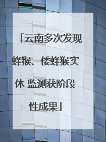 云南多次发现蜂猴、倭蜂猴实体 监测获阶段性成果