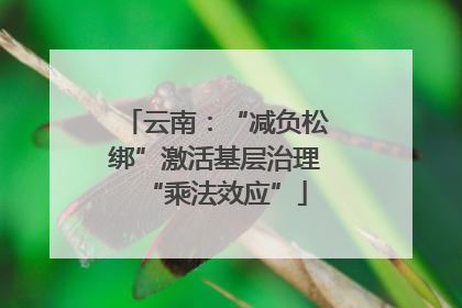 云南：“减负松绑”激活基层治理“乘法效应”