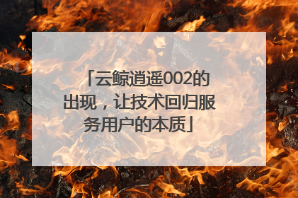 云鲸逍遥002的出现，让技术回归服务用户的本质