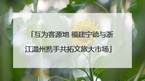 互为客源地 福建宁德与浙江温州携手共拓文旅大市场