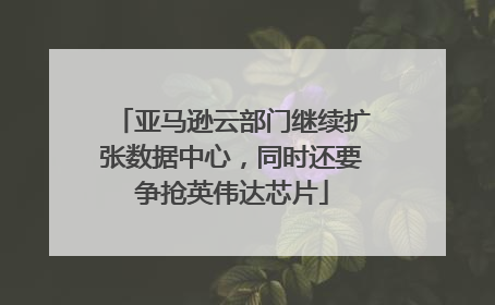 亚马逊云部门继续扩张数据中心，同时还要争抢英伟达芯片
