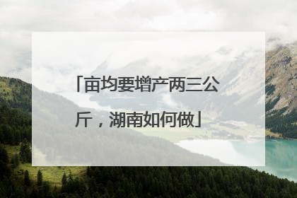 亩均要增产两三公斤，湖南如何做