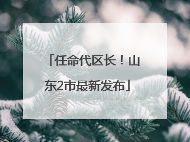 任命代区长！山东2市最新发布