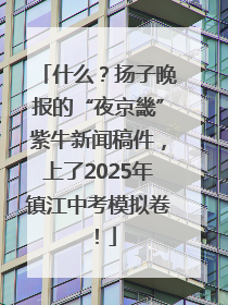 什么？扬子晚报的“夜京畿”紫牛新闻稿件，上了2025年镇江中考模拟卷！