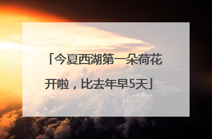 今夏西湖第一朵荷花开啦，比去年早5天