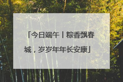 今日端午丨粽香飘春城，岁岁年年长安康