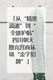 从“精准滴灌”到“全链护航” 四川朝天擦亮营商环境“金字招牌”