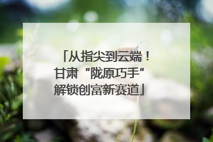 从指尖到云端！甘肃“陇原巧手”解锁创富新赛道