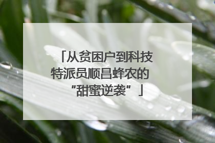 从贫困户到科技特派员顺昌蜂农的“甜蜜逆袭”