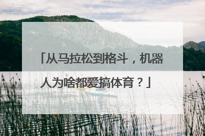 从马拉松到格斗，机器人为啥都爱搞体育？