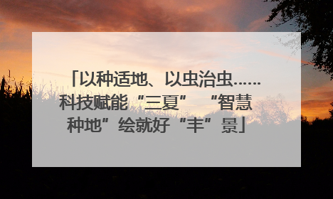 以种适地、以虫治虫……科技赋能“三夏” “智慧种地”绘就好“丰”景