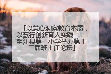 以慧心洞察教育本质，以慧行创新育人实践——望江县第一小学举办第十三届班主任论坛