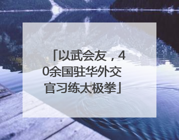 以武会友，40余国驻华外交官习练太极拳