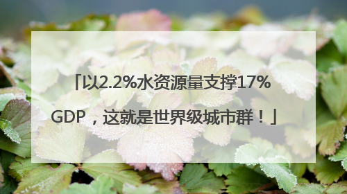 以2.2%水资源量支撑17%GDP，这就是世界级城市群！