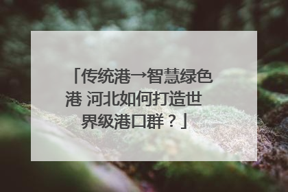 传统港→智慧绿色港 河北如何打造世界级港口群？