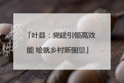 叶县：党建引领高效能 绘就乡村新图景