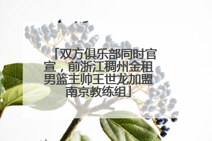 双方俱乐部同时官宣，前浙江稠州金租男篮主帅王世龙加盟南京教练组