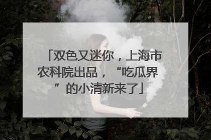 双色又迷你，上海市农科院出品，“吃瓜界”的小清新来了