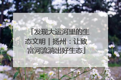 发现大运河里的生态文明｜扬州：让致富河流淌出好生态
