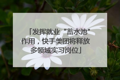 发挥就业“蓄水池”作用，快手美团将释放多领域实习岗位