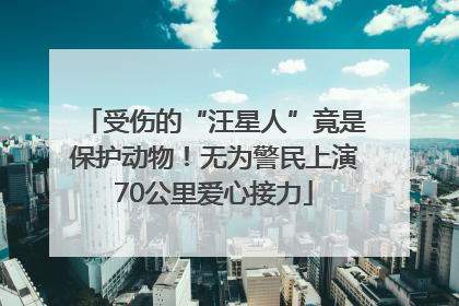 受伤的“汪星人”竟是保护动物！无为警民上演70公里爱心接力