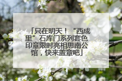 只在明天！“西成里”石库门系列套色印章限时亮相思南公馆，快来盖章吧