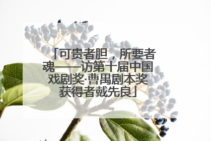 可贵者胆，所要者魂——访第十届中国戏剧奖·曹禺剧本奖获得者戴先良