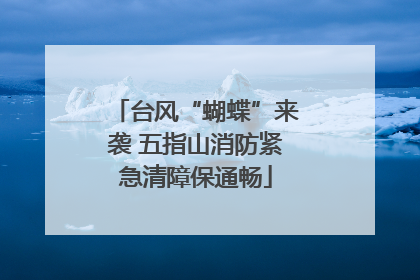 台风“蝴蝶”来袭 五指山消防紧急清障保通畅