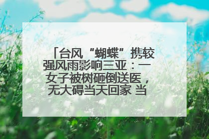台风“蝴蝶”携较强风雨影响三亚：一女子被树砸倒送医，无大碍当天回家 当地已紧急清障