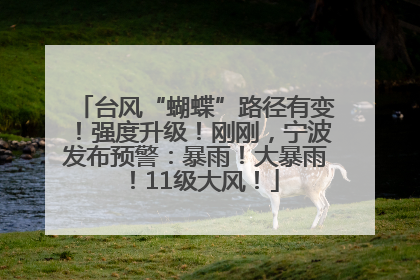 台风“蝴蝶”路径有变！强度升级！刚刚，宁波发布预警：暴雨！大暴雨！11级大风！