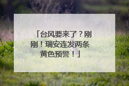 台风要来了？刚刚！瑞安连发两条黄色预警！