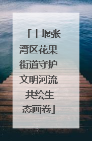 十堰张湾区花果街道守护文明河流 共绘生态画卷