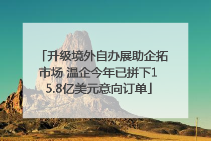 升级境外自办展助企拓市场 温企今年已拼下15.8亿美元意向订单